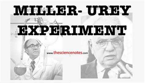 Miller Urey Experiment: Hypothesis, Steps, Conclusions, and Limitations.